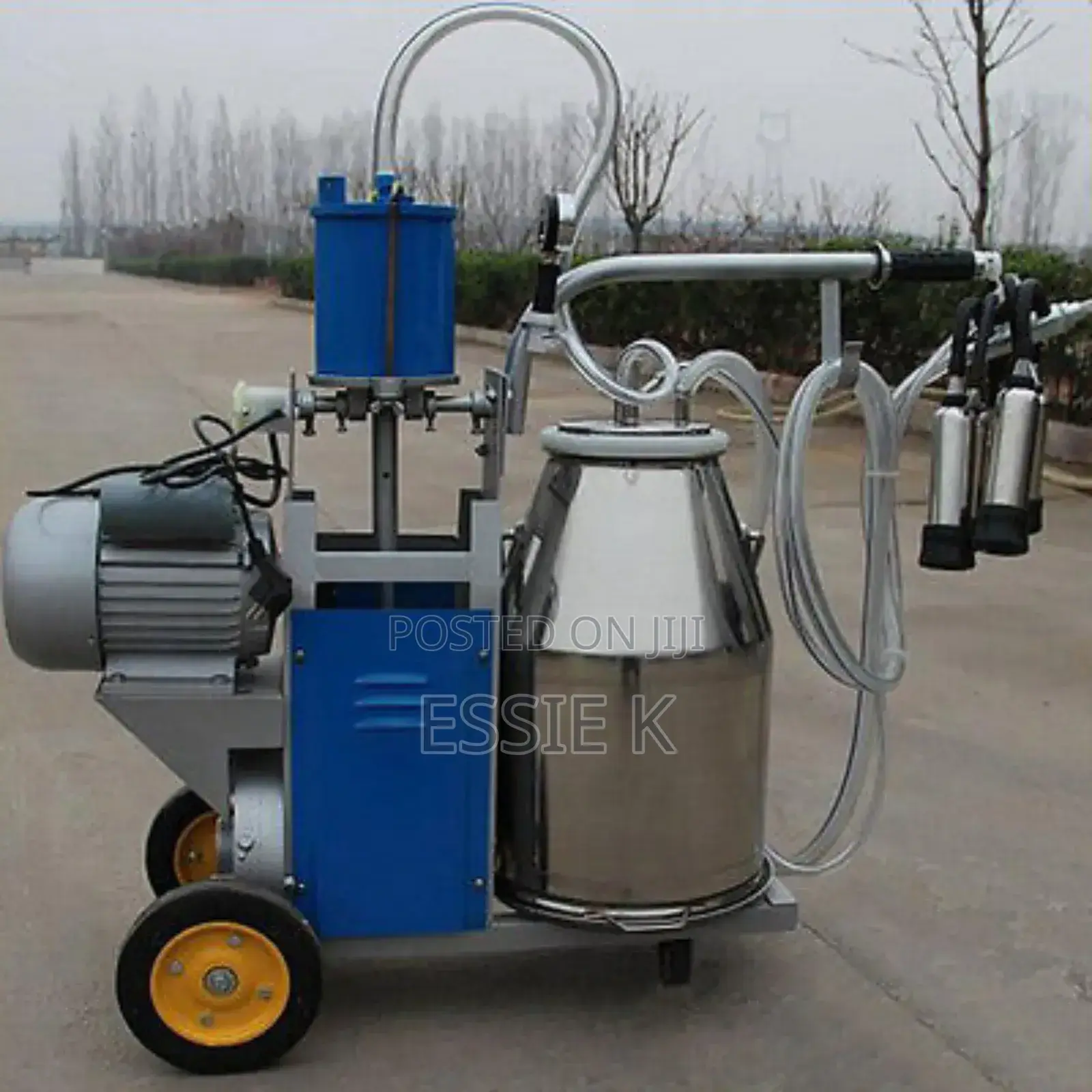 Electric Milking Machine -Milano Italia