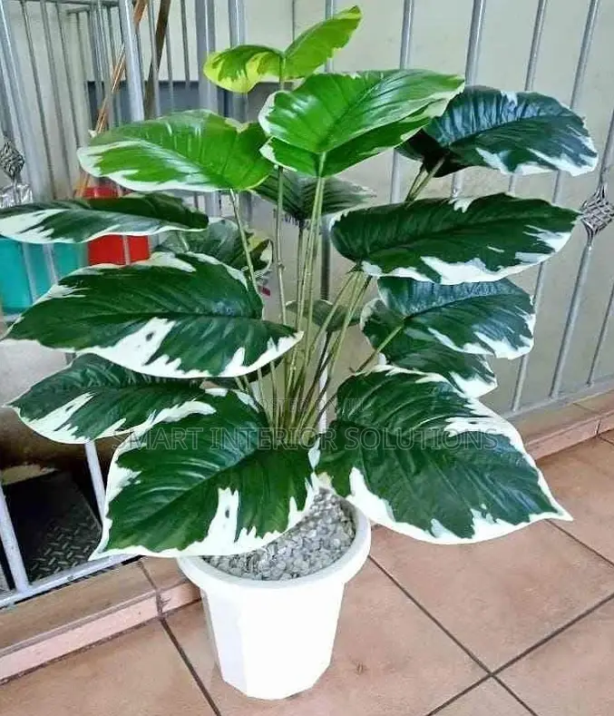 Modern Artificial Plants