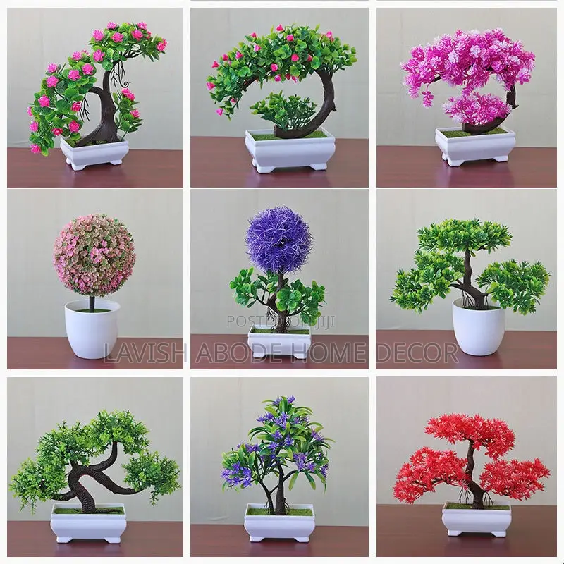 Beautiful Bonsai Small Flowers