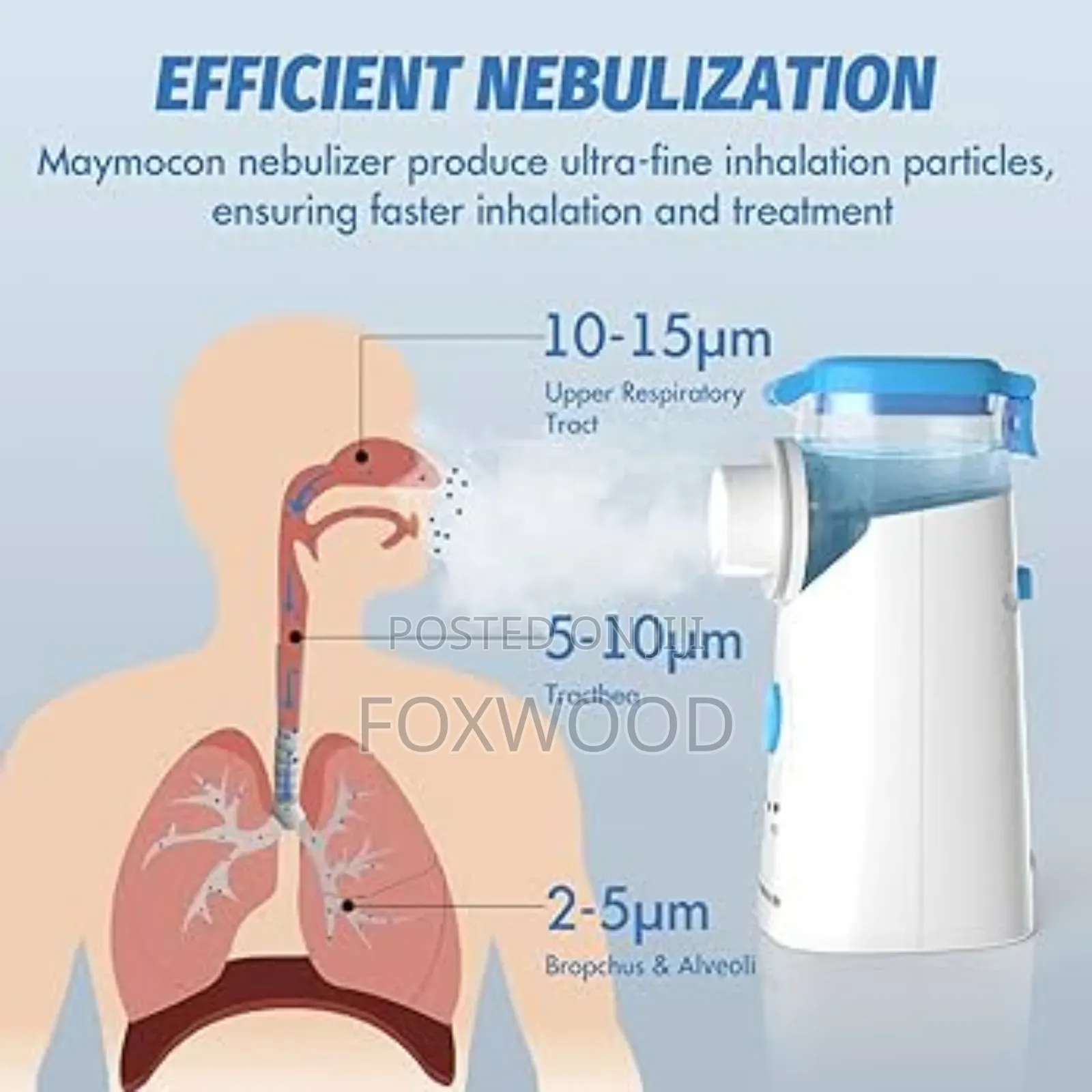 Mesh Nebulizer Now Available