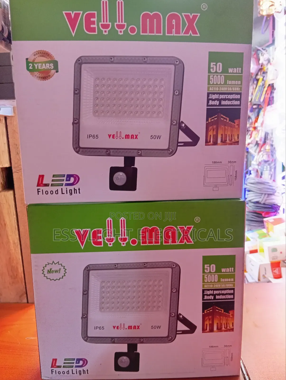 Motion Sensor Floodlight