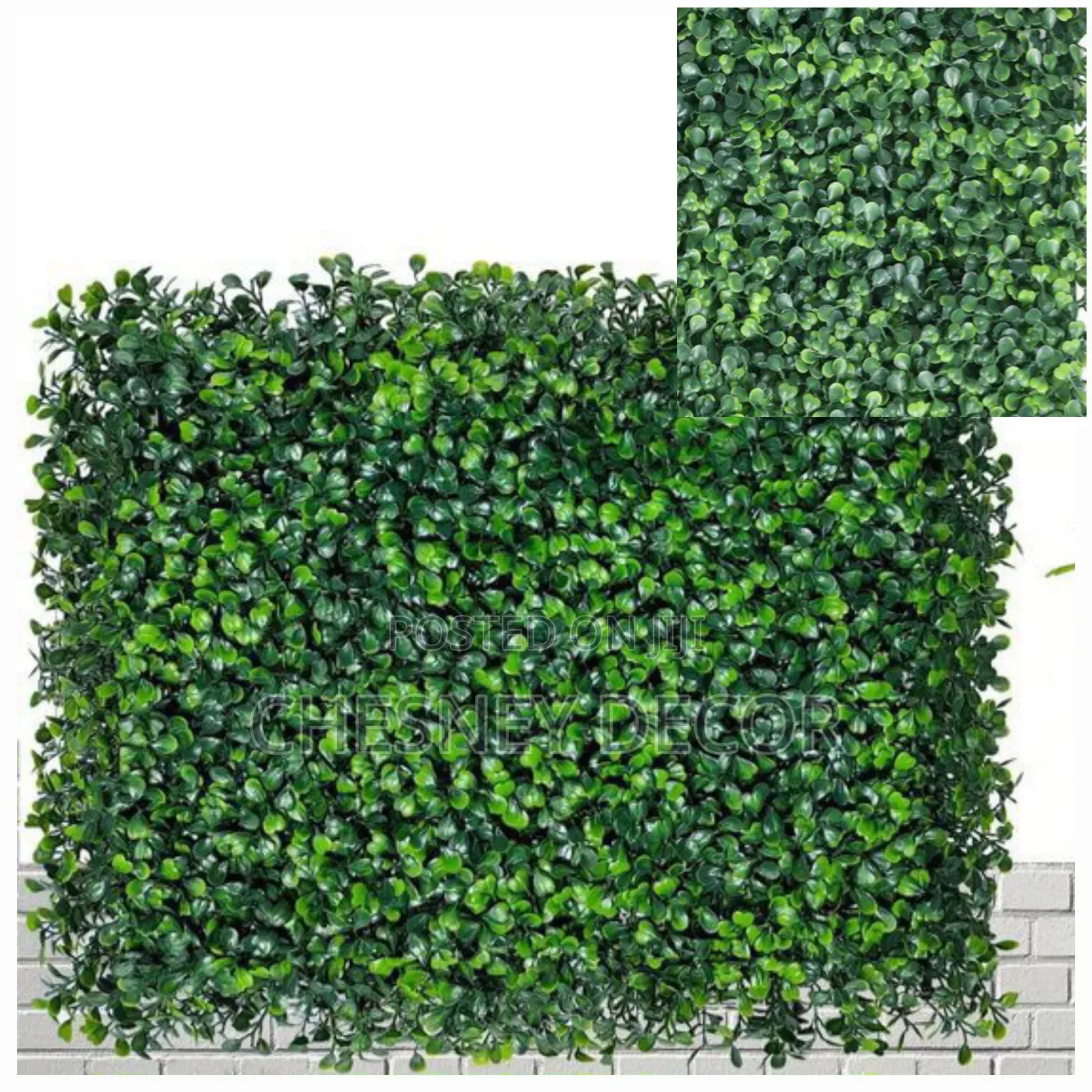 Wall Hedges