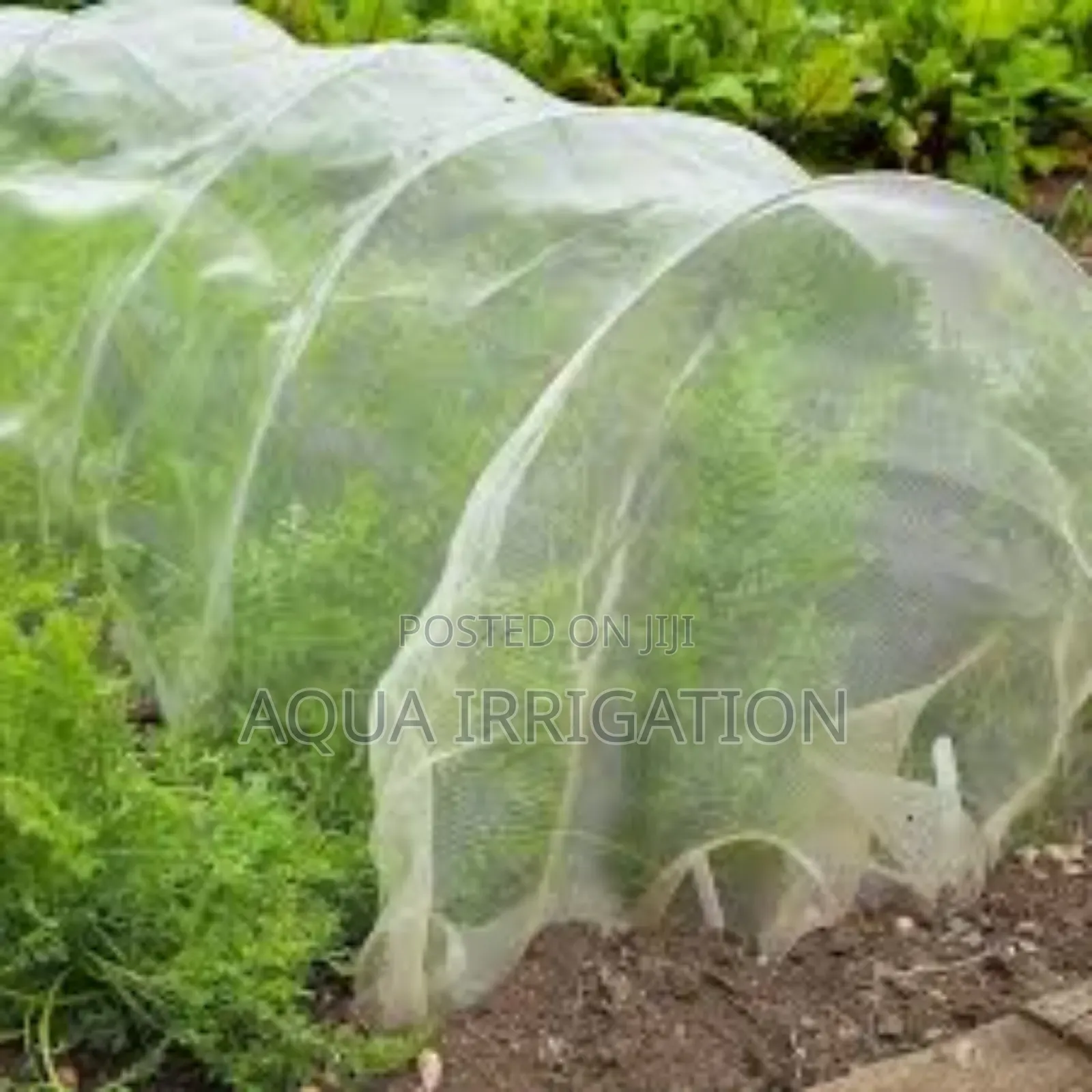 Pest-Free Yields With High-Quality Insect Nets