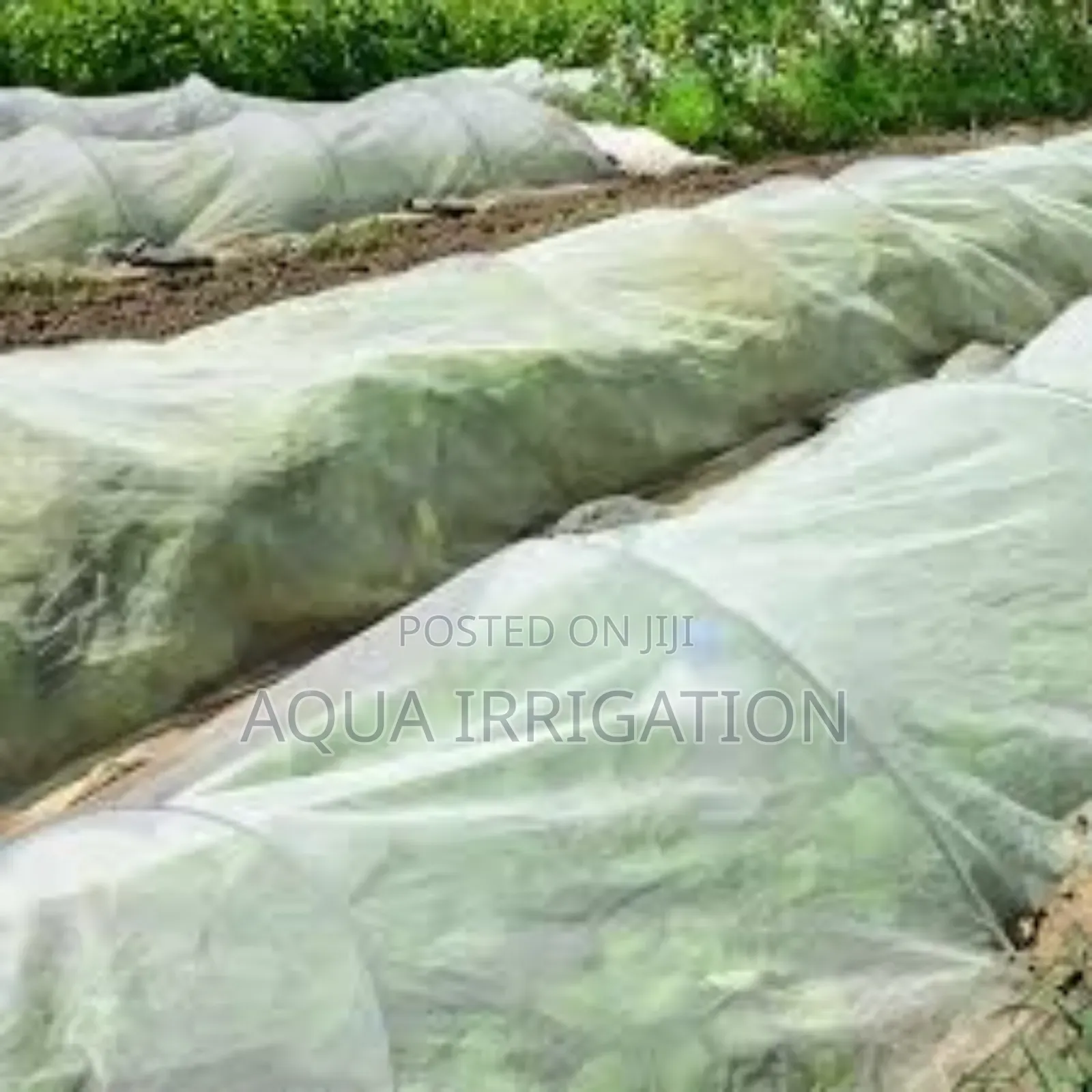 Keep Bugs Out, Let Your Crops Flourish!