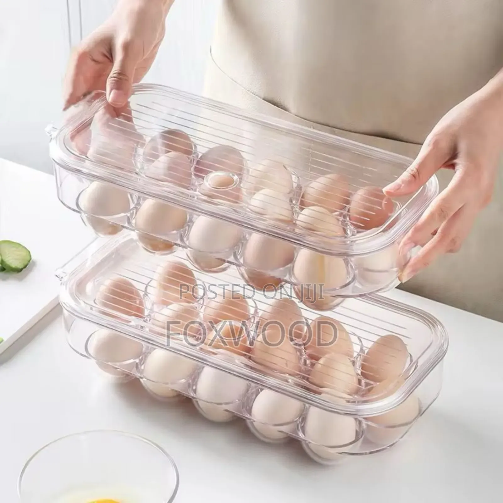 16 Grid Egg Holder With Handle Lid*