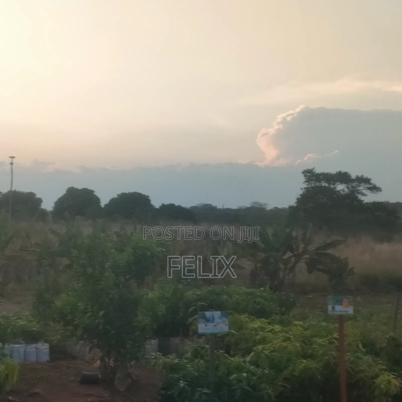 19 Acres Sagana Makutano Highway