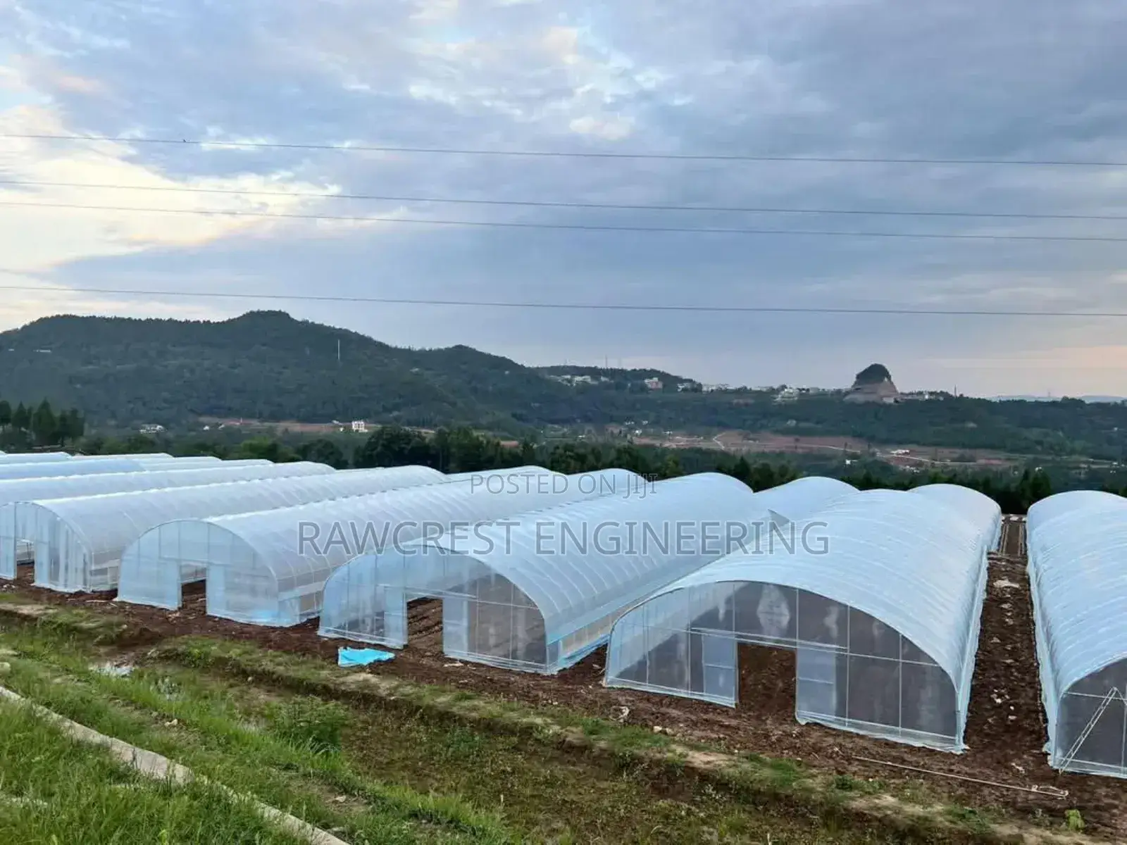 Greenhouse Construction Services