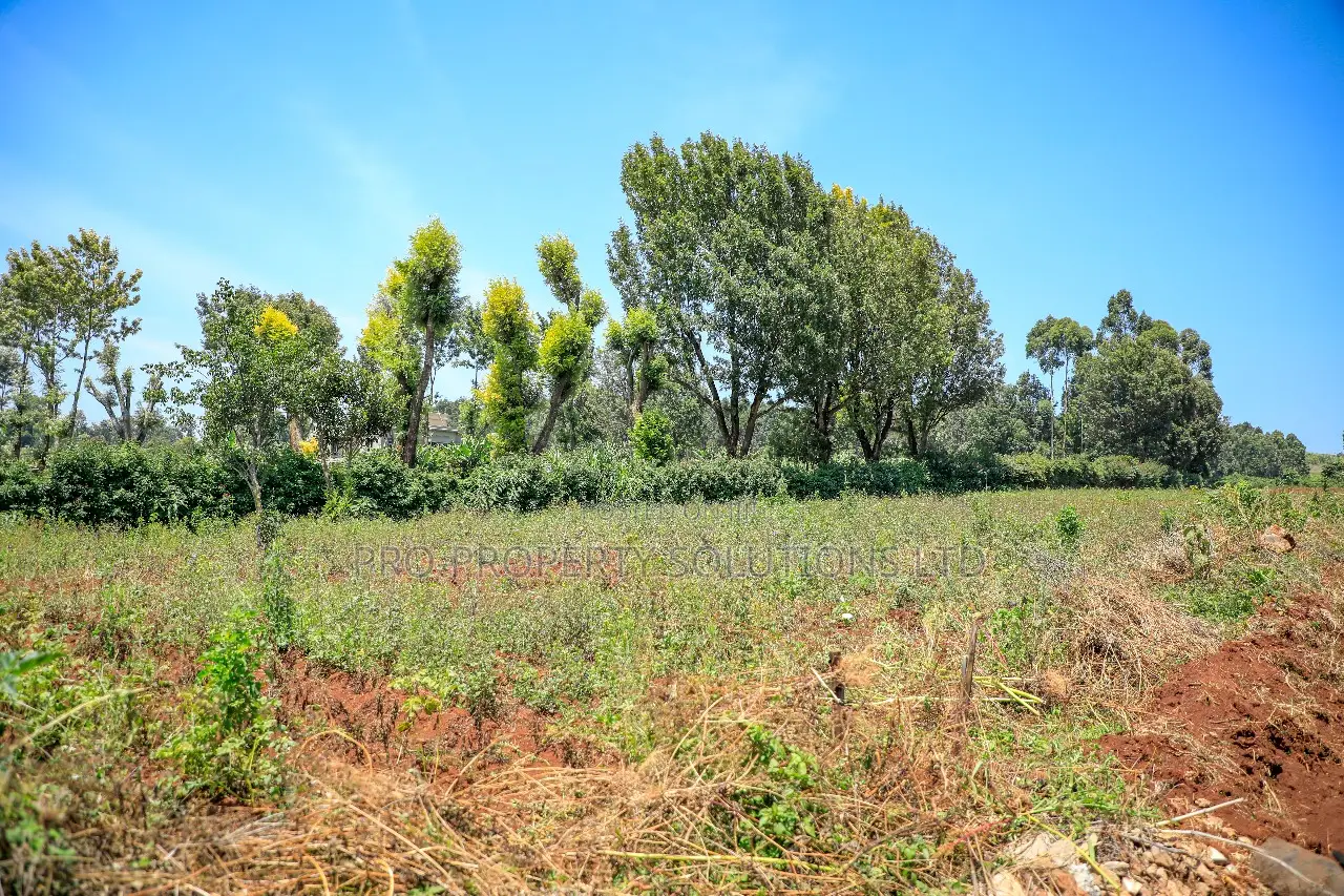Residential Serviced Plots in Kikuyu, Ondiri