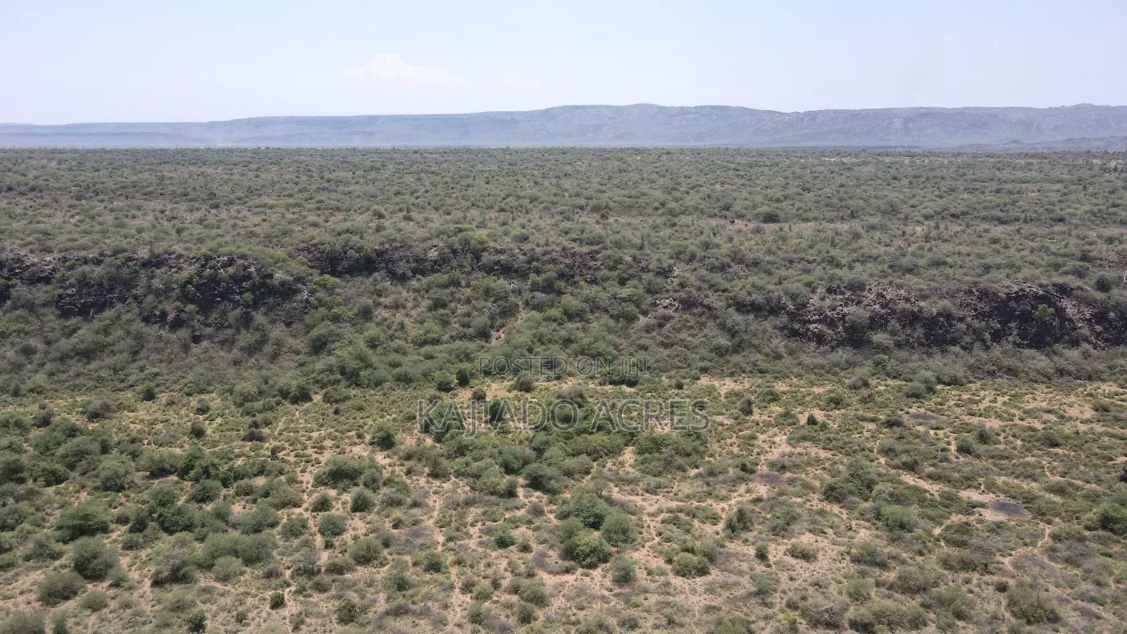 50 Acres on Cliff in Tinga at Per Acre