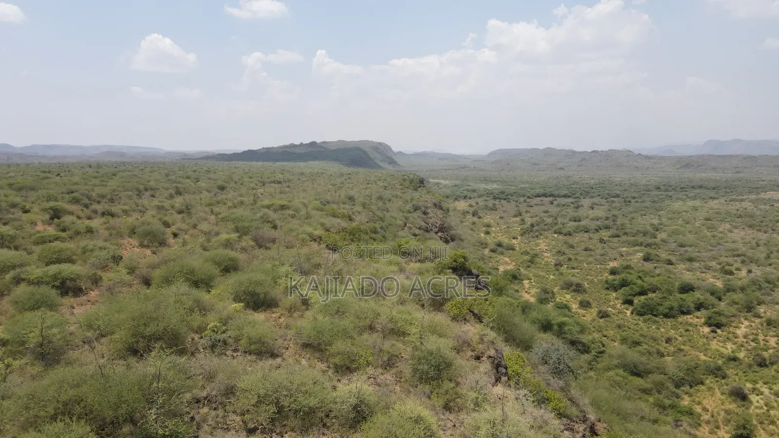 50 Acres on Cliff in Tinga at Per Acre