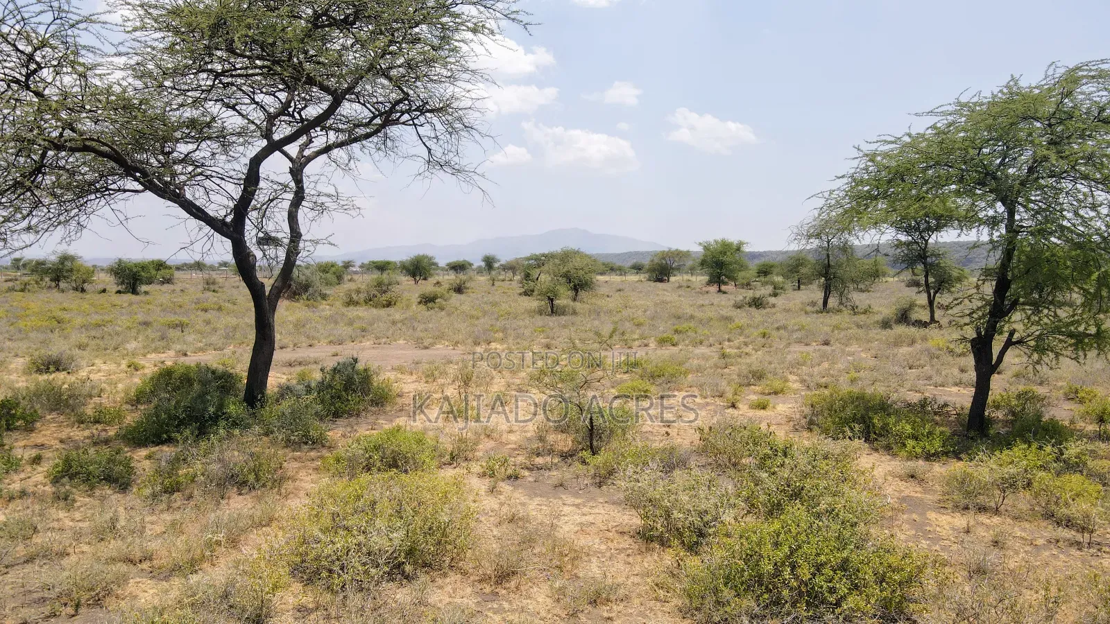 Prime 5 Acres Tinga at Per Acre