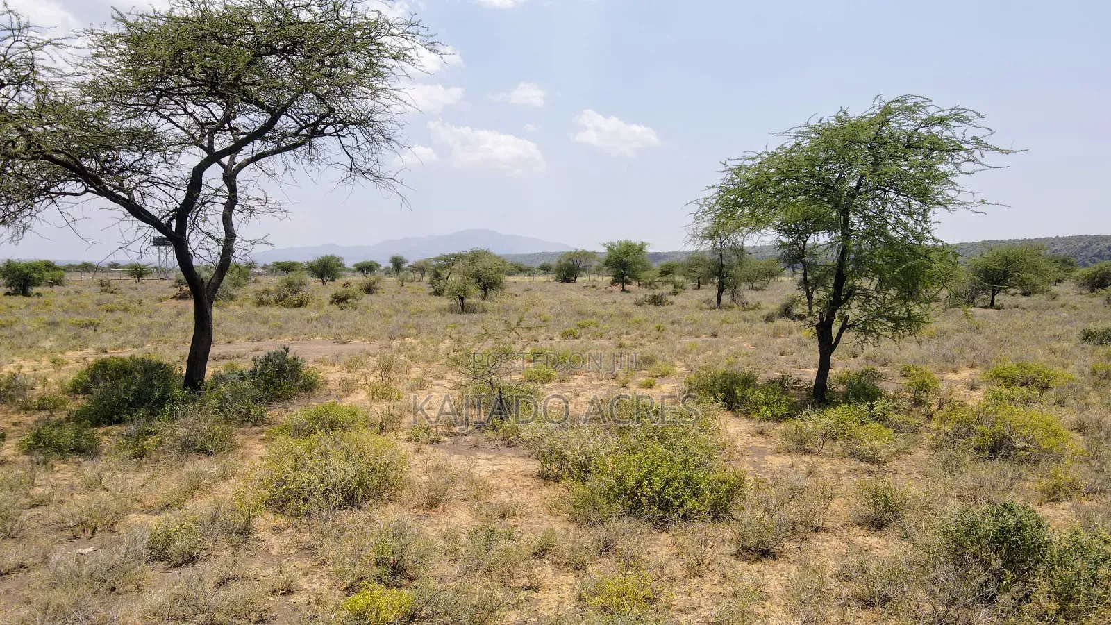 Prime 5 Acres Tinga at Per Acre