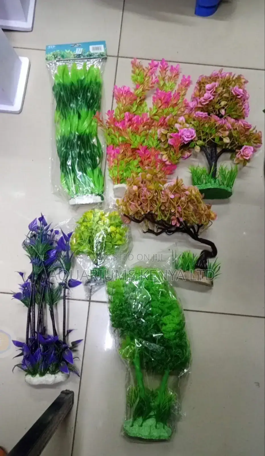 Unique Colour and Bush Aquarium Plants