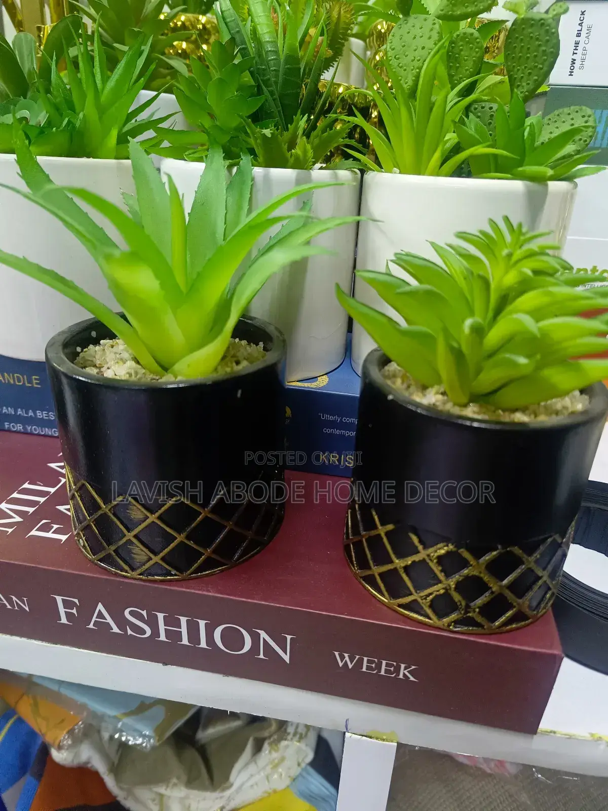 Ceramic Artificial Succulents