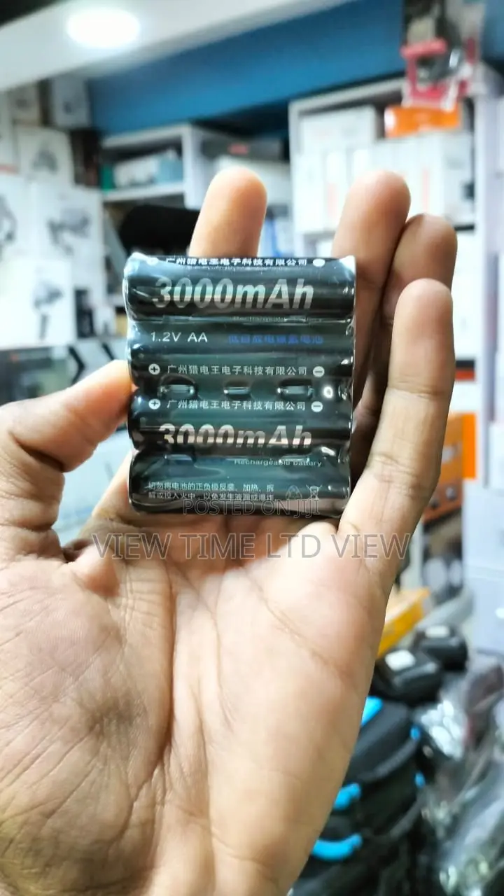 Palo Batteries 3000mah Rechargeable Batteries