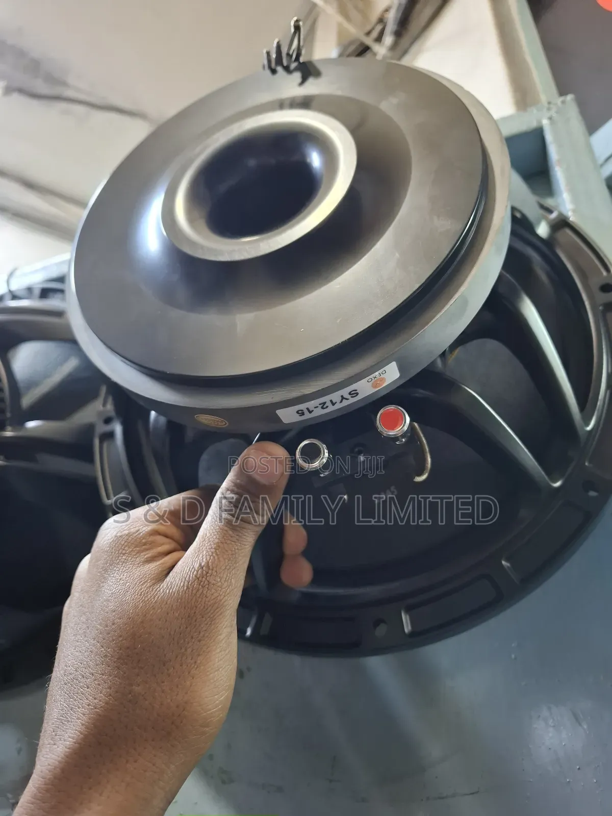 Dexo Sy12-15 12 Inch Naked Speaker