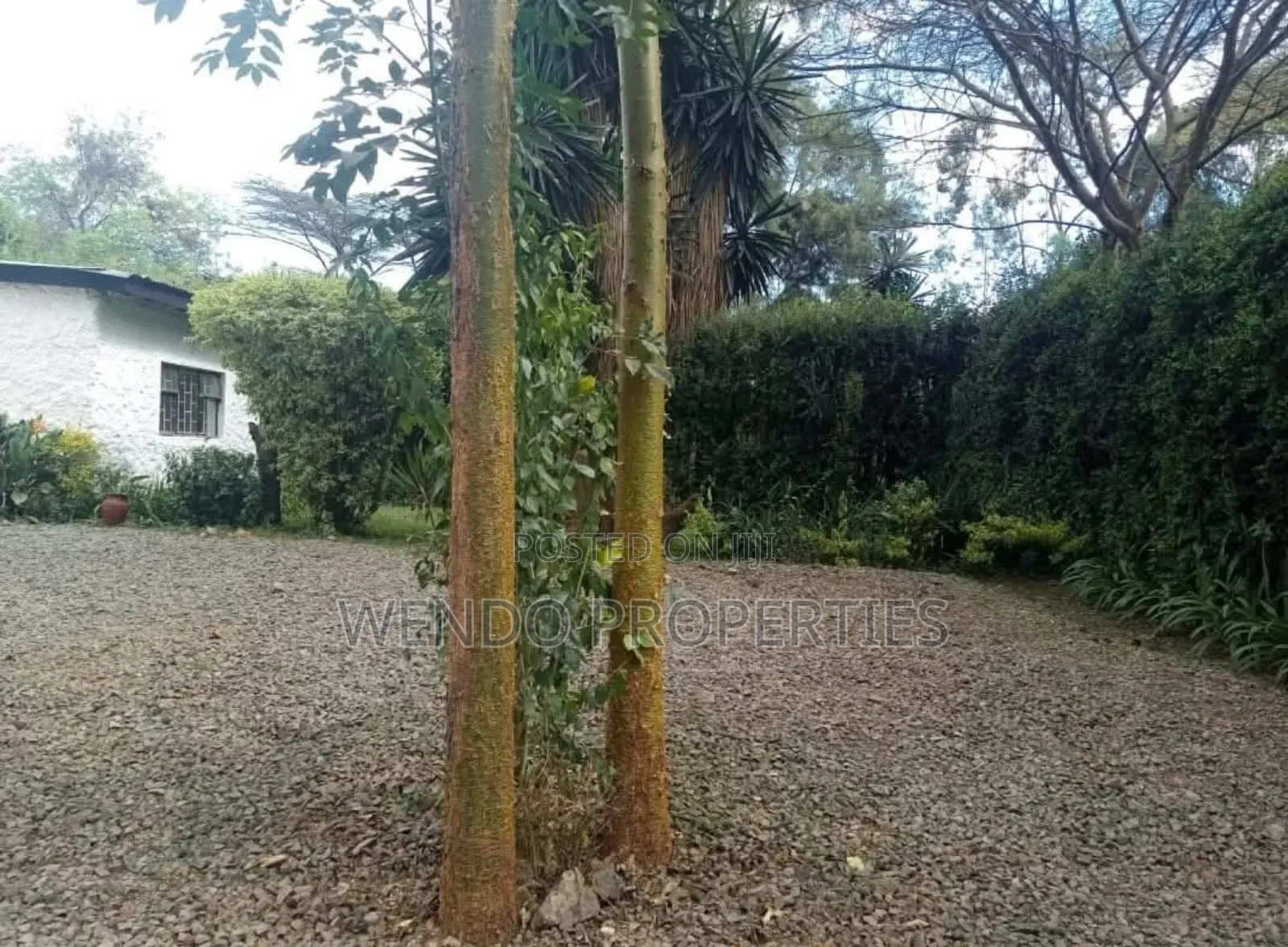 3bdrm Bungalow in Karen C for rent