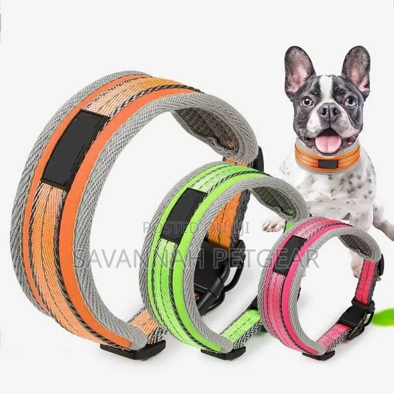 Padded Sports Dog Collar, Adjustable, Back Clip