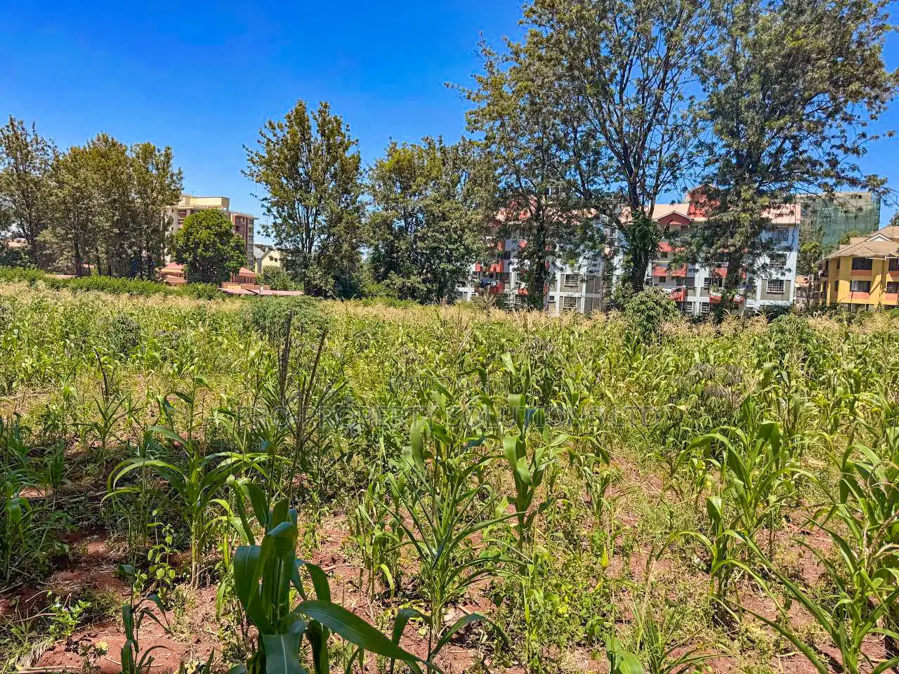 Commercial 3/4 Acre Plot for Sale in Thindigua, Kiambu