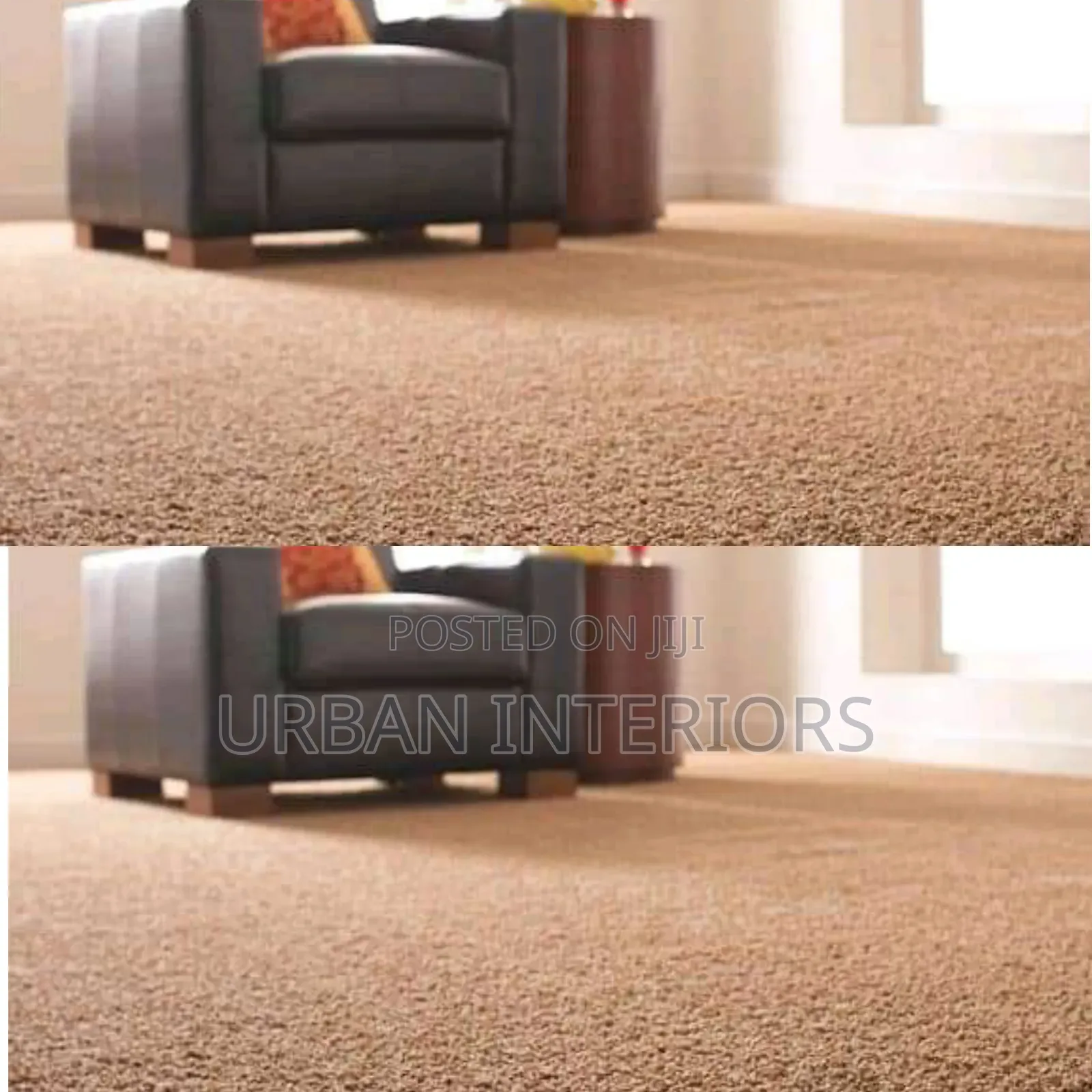 Wall to Wall Delta Carpets. Living Room Badge Carpets