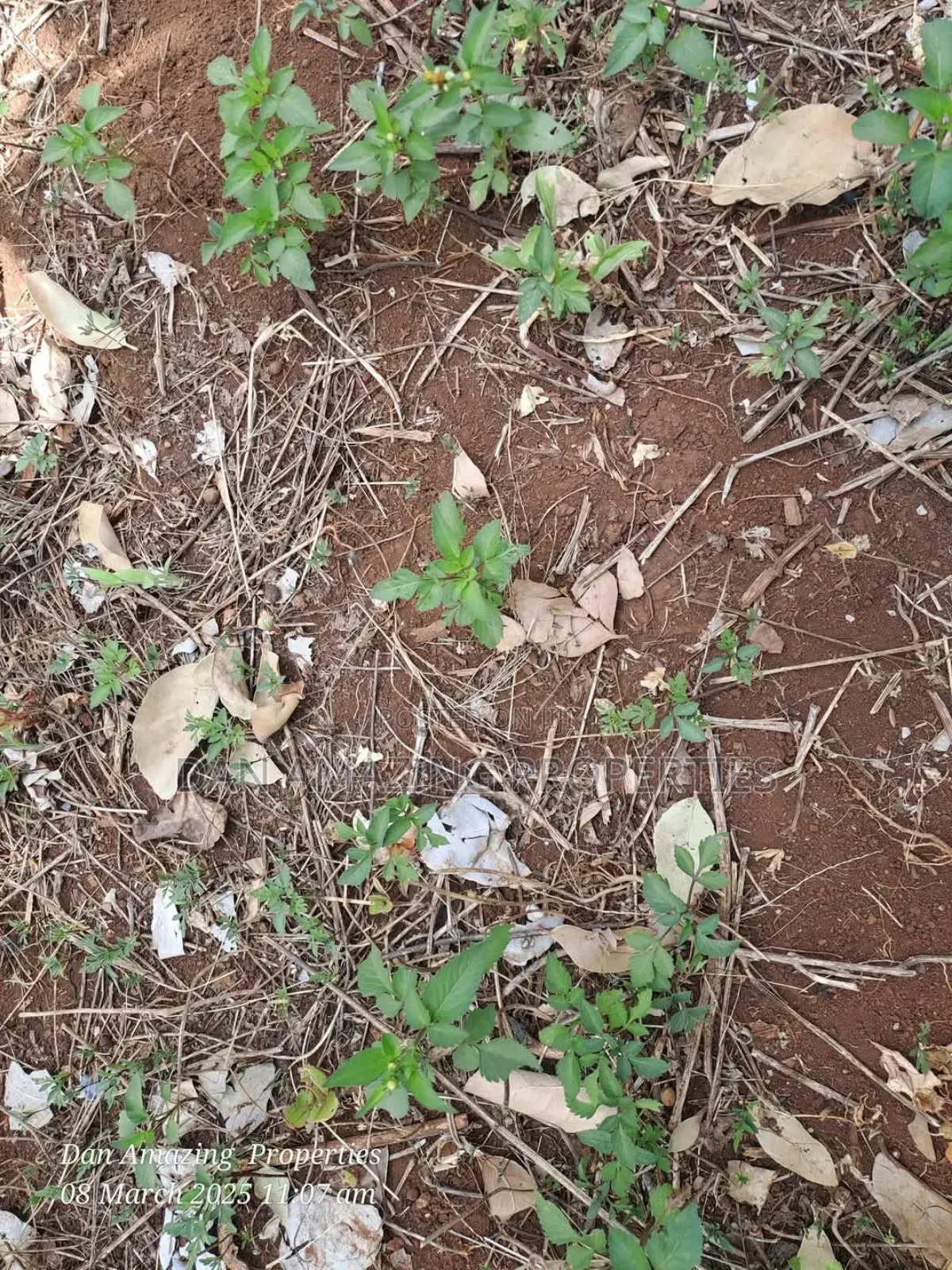 1/4 an Acre Land in Gated Community Matasia for Sale