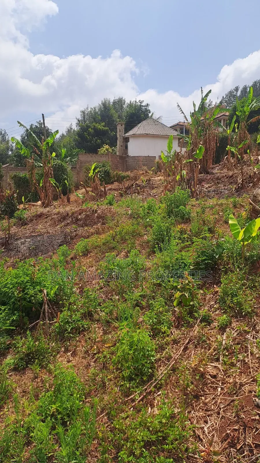 1/4 an Acre Land in Gated Community Matasia for Sale