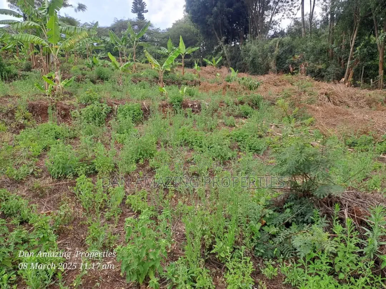 1/4 an Acre Land in Gated Community Matasia for Sale