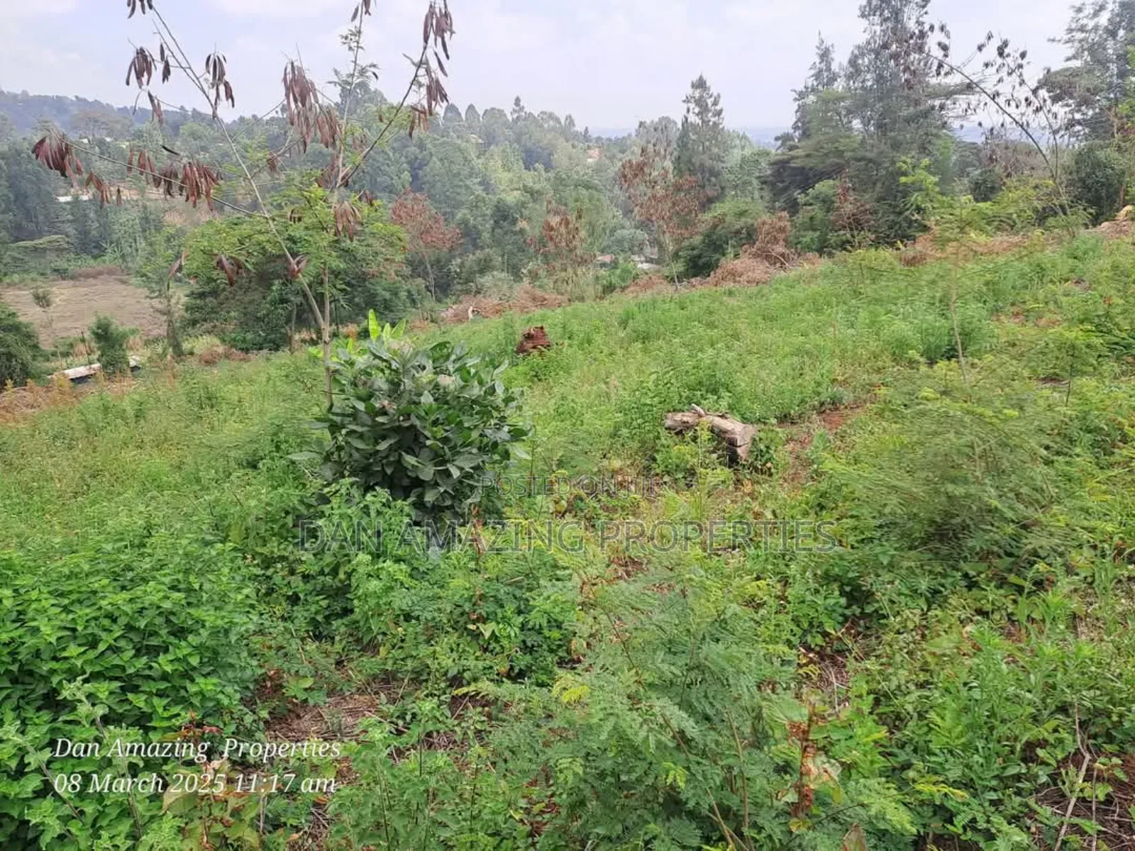 1/4 an Acre Land in Gated Community Matasia for Sale