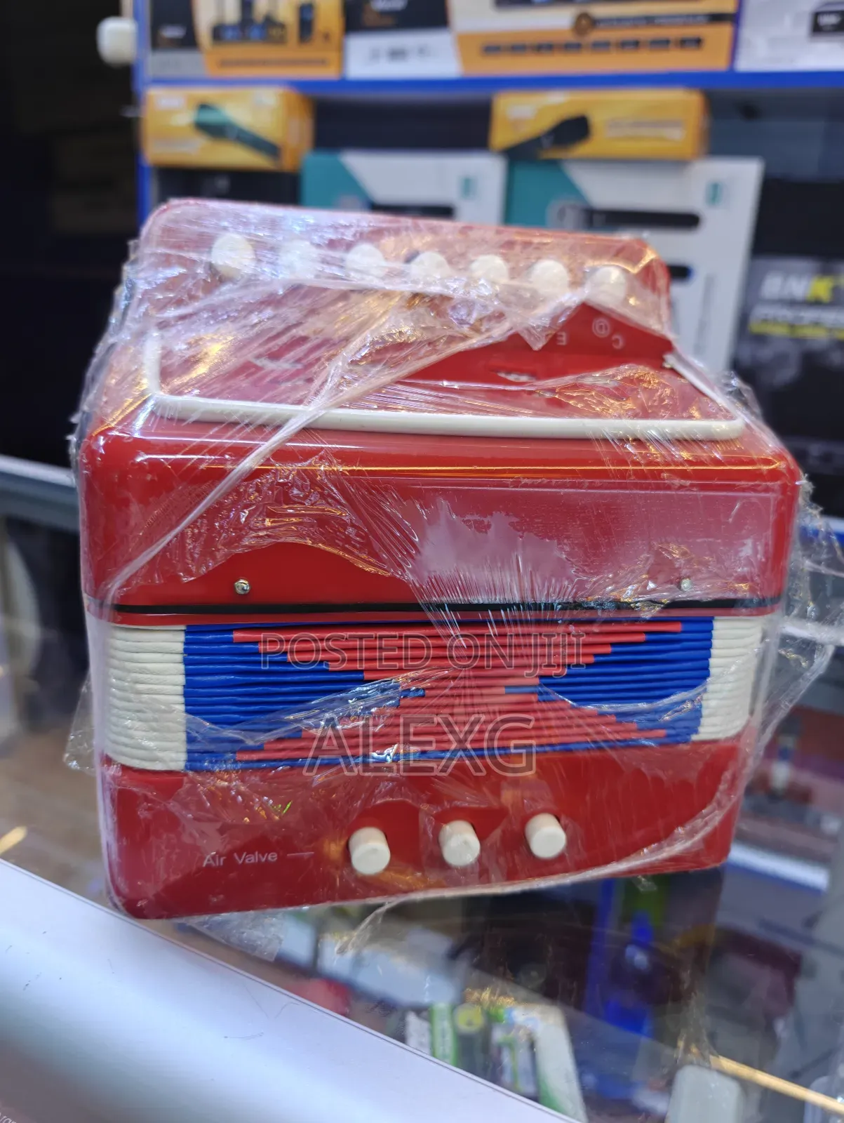 Kids Accordions