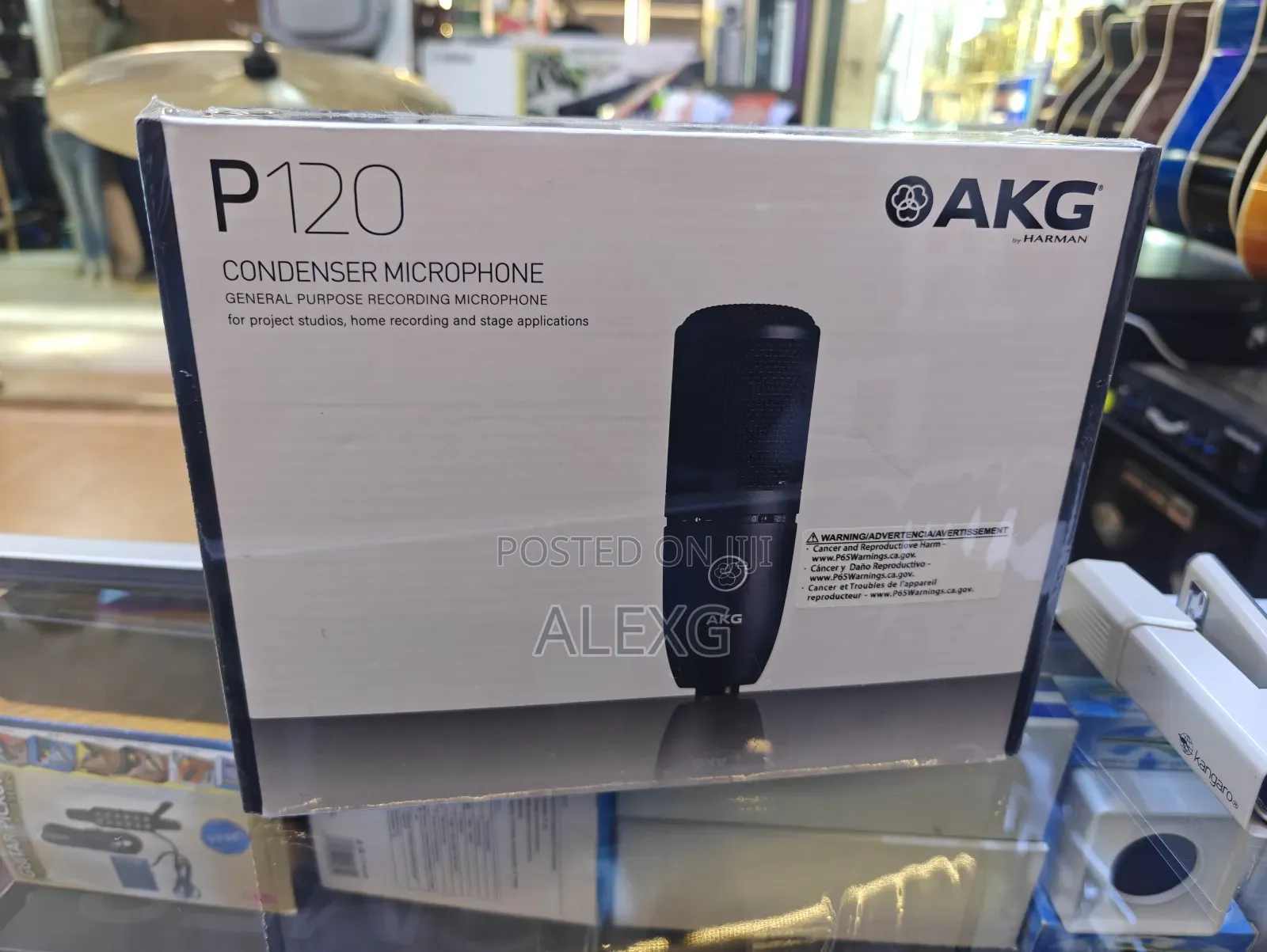 Akg P 120 Studio Mic