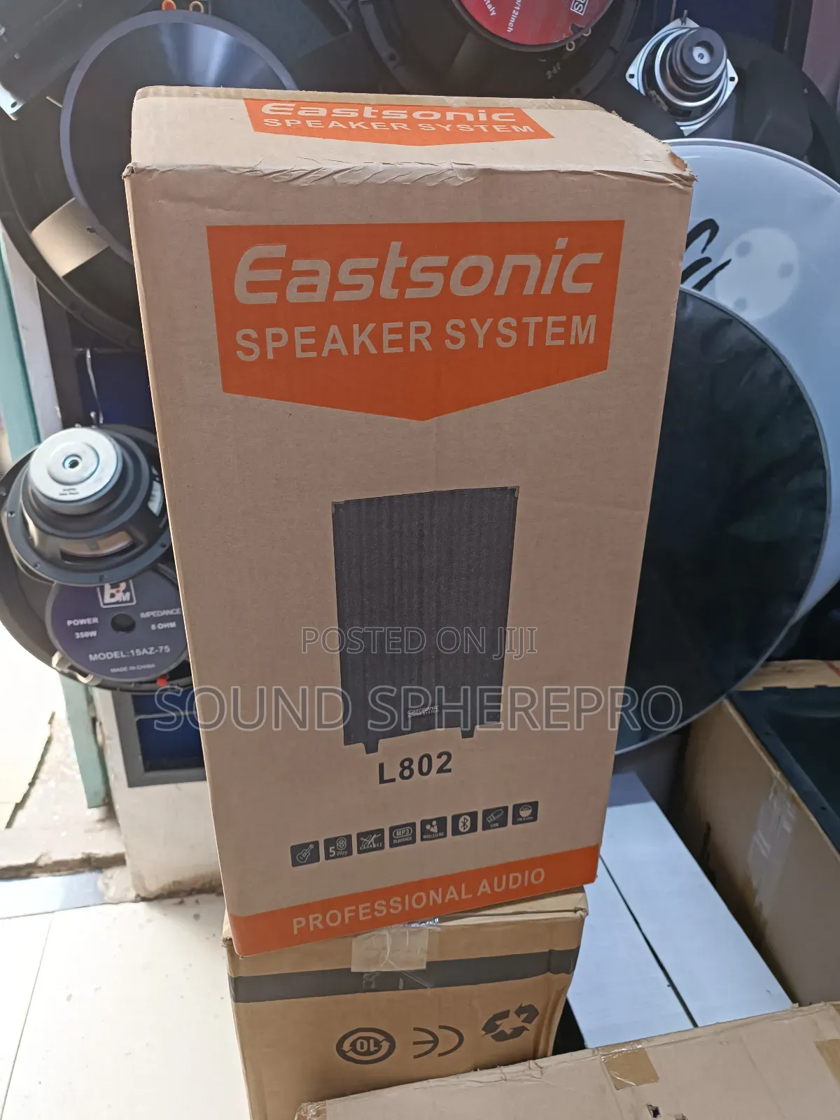 Eastsonic 8 Inch Rechargable Speaker With A Microphone