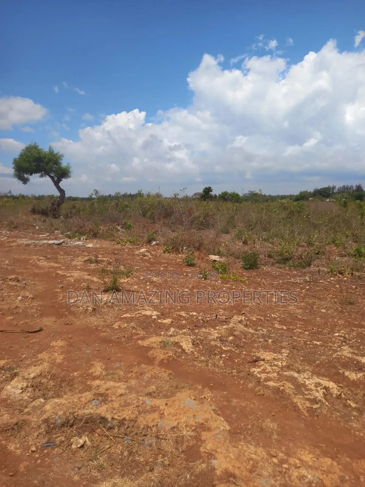 1/4 Acre Msa Vipingo for Sale Touching 2 Service Roads