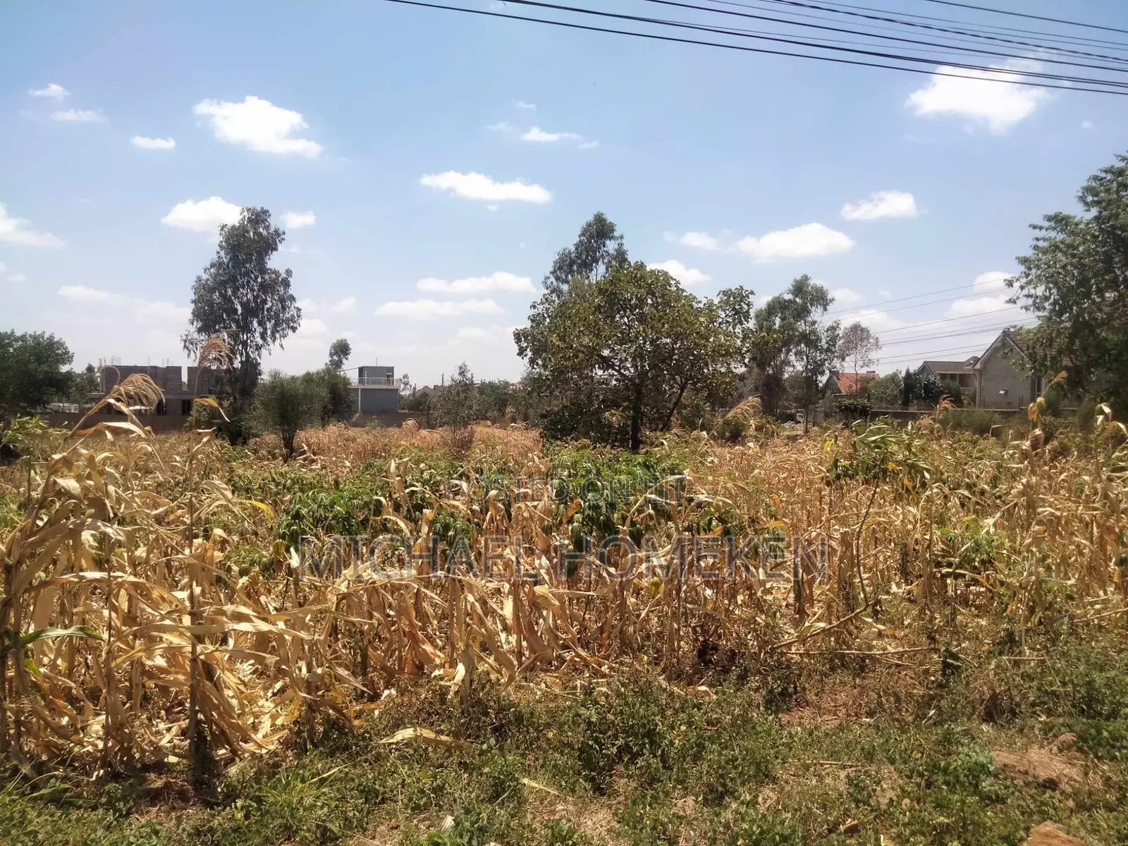 An Eighth Acre for Sale in Kenyatta Road Croton Estate Area