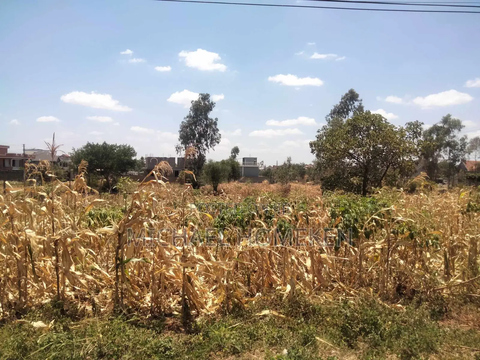 An Eighth Acre for Sale in Kenyatta Road Croton Estate Area