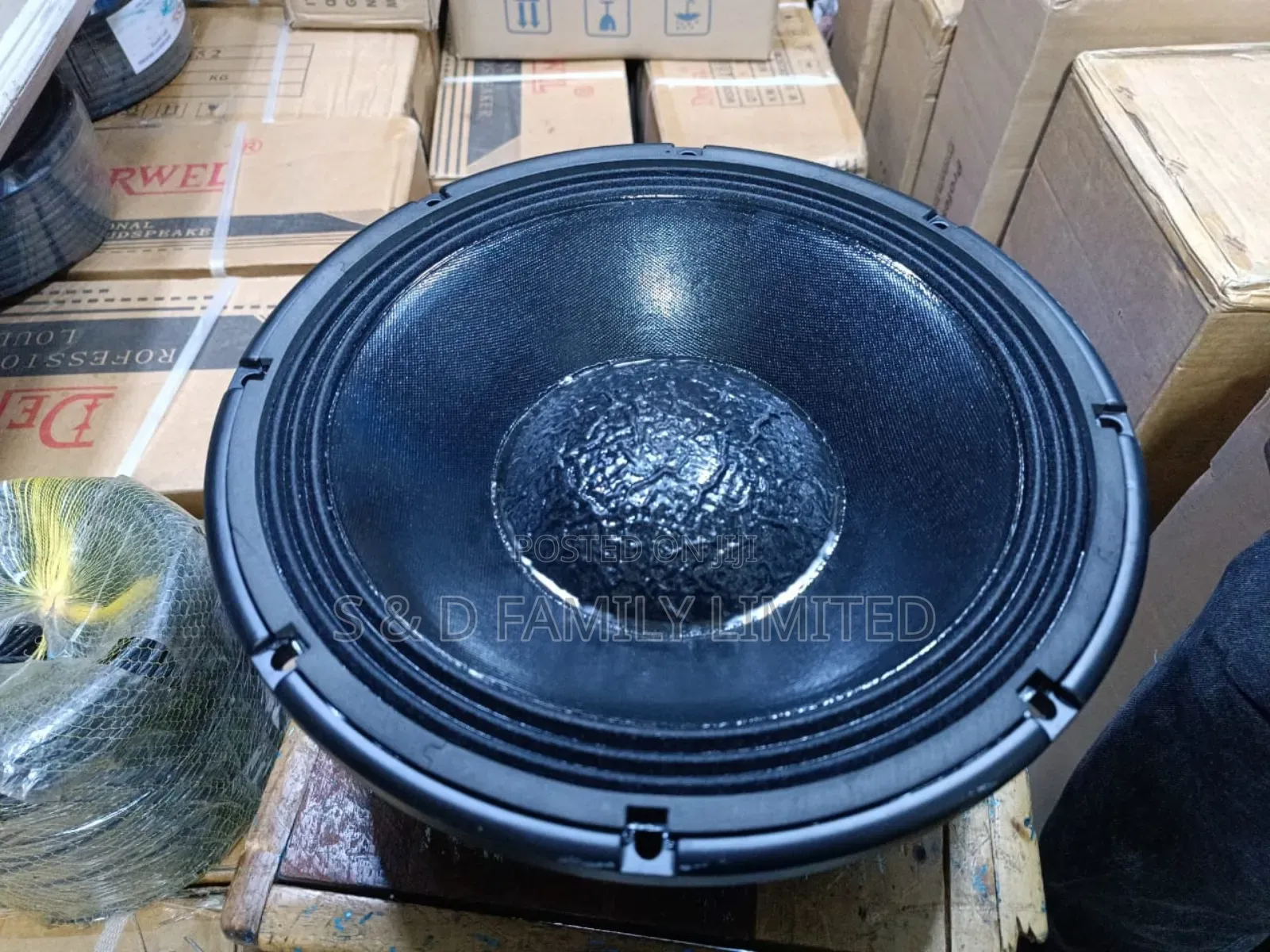 Derwel 12 Inch Naked Speaker