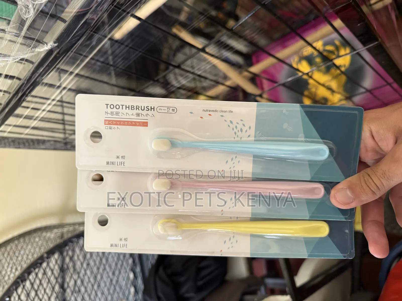 Cat/Kitten Toothbrushes