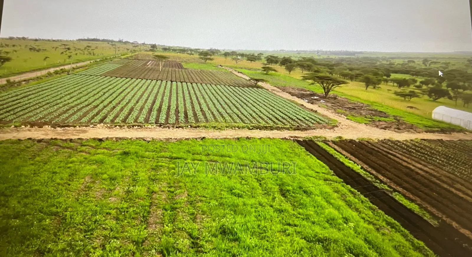 29 Acre Ready Farm Isinya Kajiado