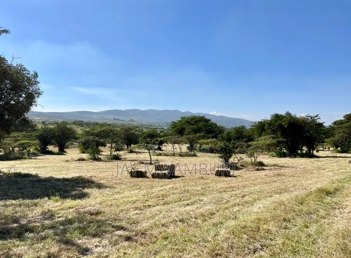 29 Acre Ready Farm Isinya Kajiado