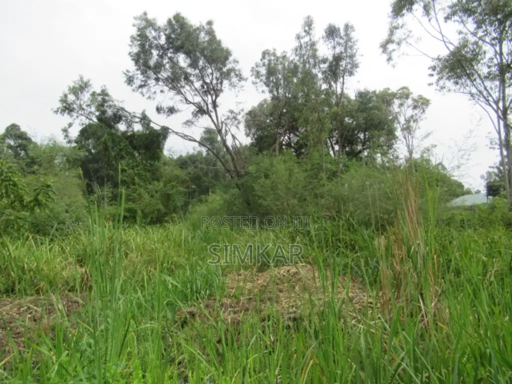 0.5-Acre Plot for Sale in Ridgeways