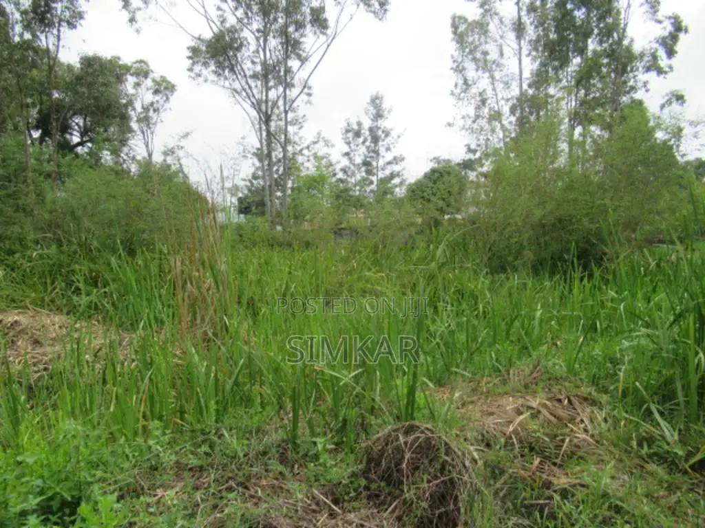 0.5-Acre Plot for Sale in Ridgeways