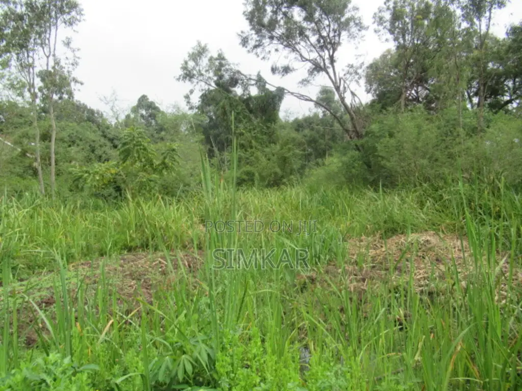 0.5-Acre Plot for Sale in Ridgeways