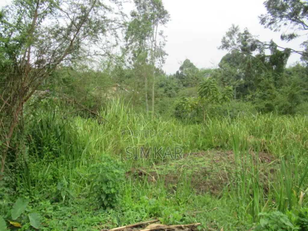 0.5-Acre Plot for Sale in Ridgeways