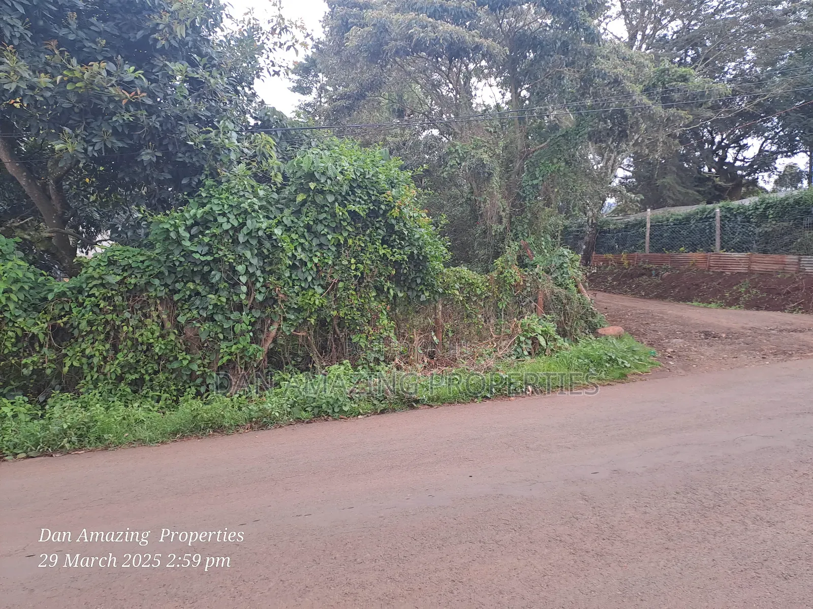 1/4 Acre Ngong Lemiso Road for Sale Touching Tarmac