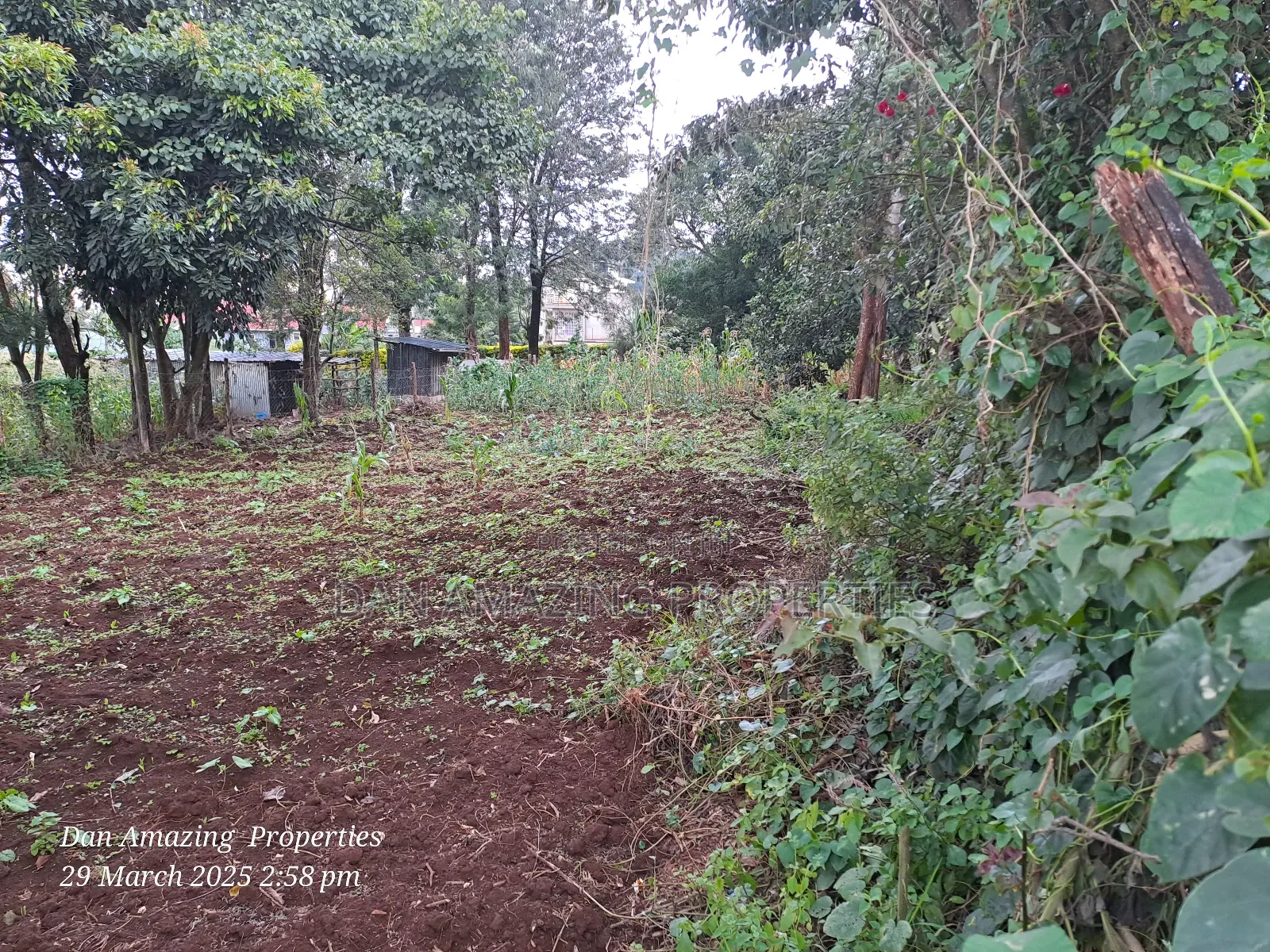 1/4 Acre Ngong Lemiso Road for Sale Touching Tarmac
