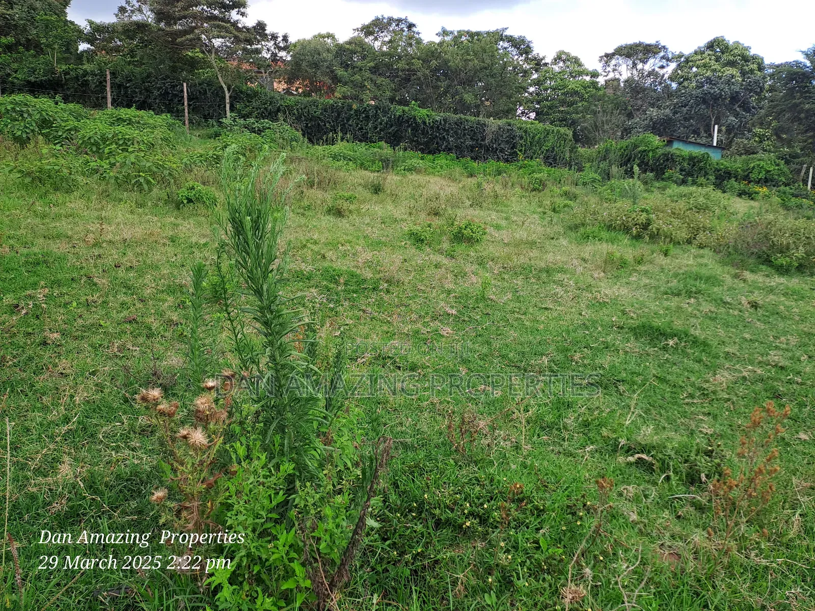 1/4 Acre Ngong Lemiso Road for Sale