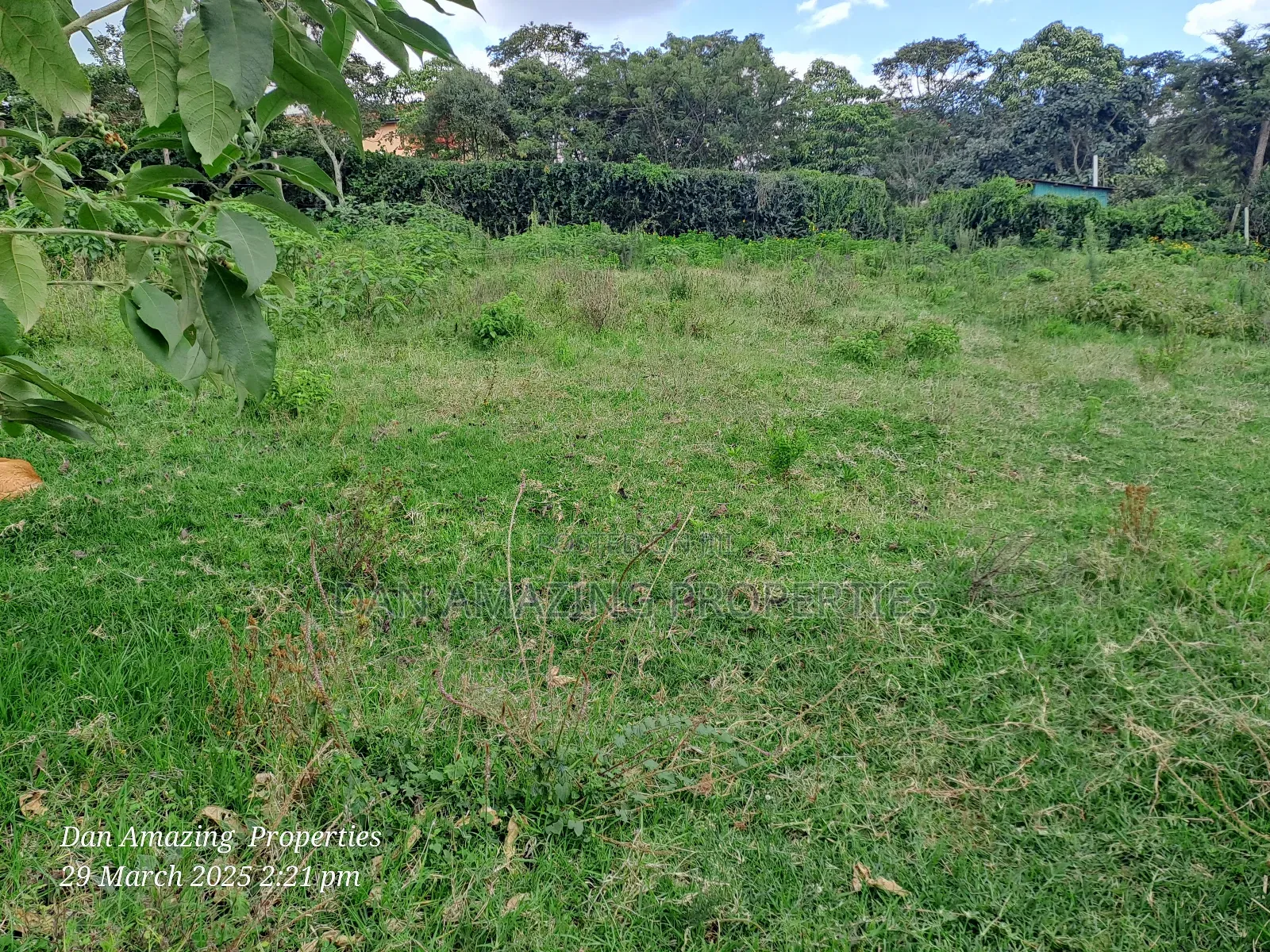 1/4 Acre Ngong Lemiso Road for Sale