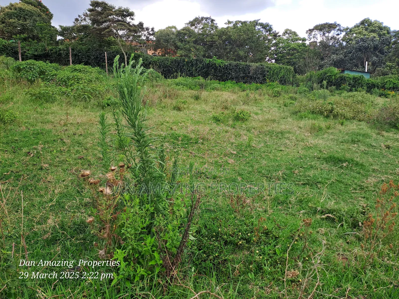 1/4 Acre Ngong Lemiso Road for Sale