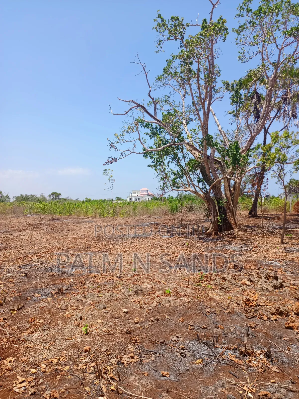 6 Acre Land on Sale in Galu Diani