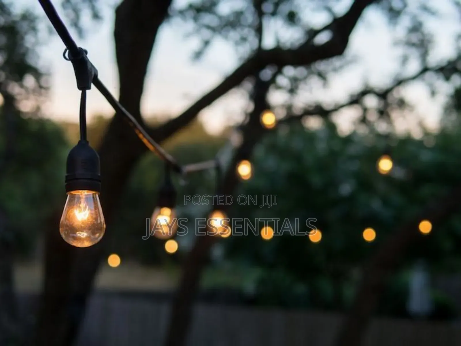10 Metres 20 Bulbs Festoon Lights