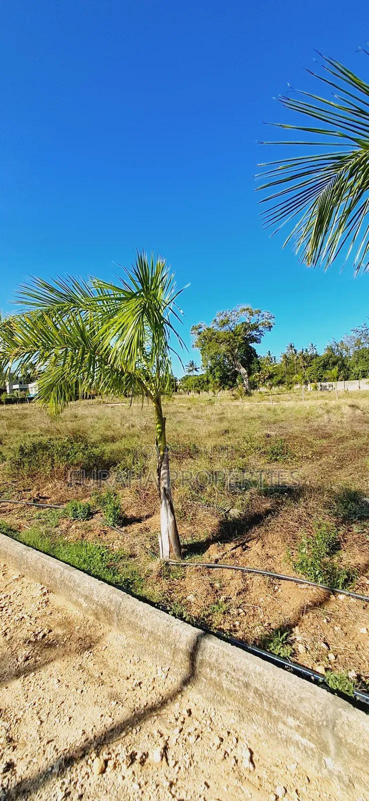 For Sale Eighth Acre Plots Mtwapa